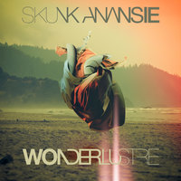 Over the Love - Skunk Anansie