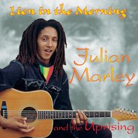 Lion in the Morning - Julian Marley