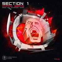 Hyppin Beats - Section 1