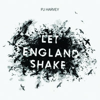 Hanging In The Wire - PJ Harvey