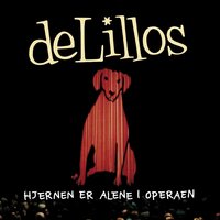 Suser avgårde - deLillos