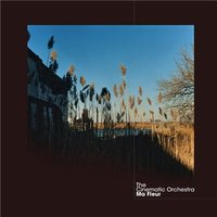 Music Box - The Cinematic Orchestra, Lou Rhodes