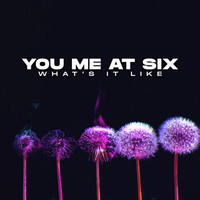 What's It Like - You Me At Six