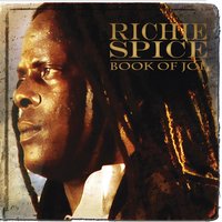 Jah Never Let Us Down - Richie Spice