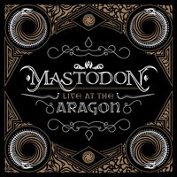 The Bit - Mastodon