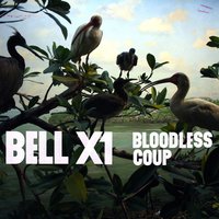 74 Swans - Bell X1