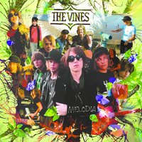 Hey - The Vines