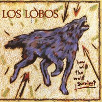 I Got to Let You Know - Los Lobos