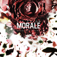 Clip Paper Wings - The Color Morale