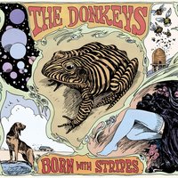 Bullfrog Blues - The Donkeys