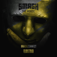 Brasil Connect - QUINTINO