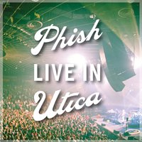 Have Mercy - Phish