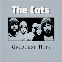 There Has Been A Time - The Cats