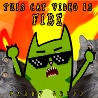 This Cat Video Is Fire - Parry Gripp