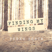 Finding My Wings - Pedro Costa