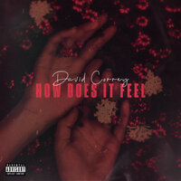 How Does It Feel - David Correy