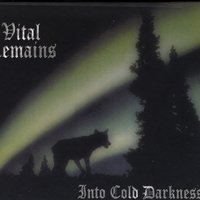 Into Cold Darkness - Vital Remains