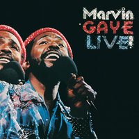 Distant Lover - Live - Marvin Gaye