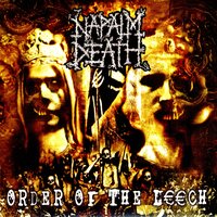 Forced To Fear - Napalm Death