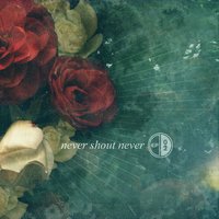 Happy - Never Shout Never