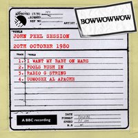 Fools Rush In (John Peel Session) - Bow Wow Wow
