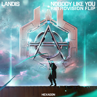 Nobody Like You - Landis, RetroVision