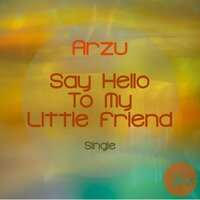 Say Hello To My Little Friend - Arzu