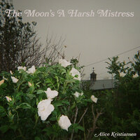 The Moon's a Harsh Mistress - Alice Kristiansen