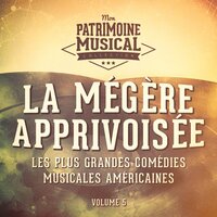 Why Can't You Behave? (Extrait De La Comédie Musicale « La Mégère Apprivoisée ») - Ann Miller