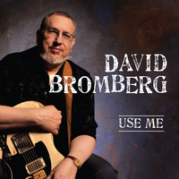 Old Neighborhood - David Bromberg, Widespread Panic