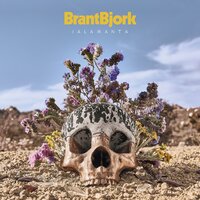 Too Many Chiefs... Not Enough Indians - Brant Bjork