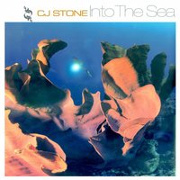 Into The Sea - CJ Stone