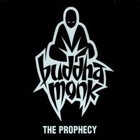 Crazy Cats - Buddha Monk