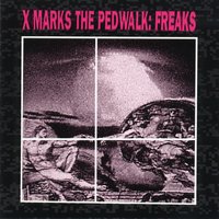 Zest - X-Marks The Pedwalk
