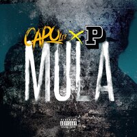 Mula - Capo Lee, P Money
