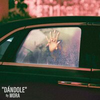 Dandole - Mora