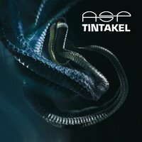 Tintakel - ASP