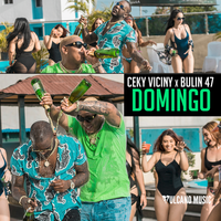 Domingo - Ceky Viciny, Bulin 47