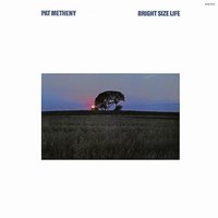 Pat Metheny