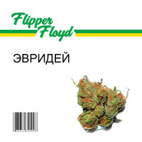 ЭВРИДЕЙ - Flipper Floyd