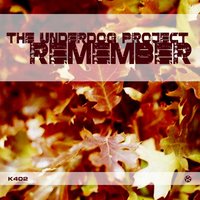 Remember (Radio Cut) - The Underdog Project