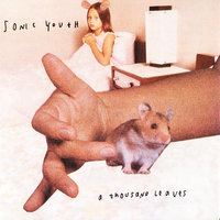 Sunday - Sonic Youth