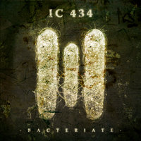 Back to Back - IC 434