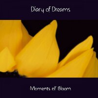 Moments of Bloom - Diary of Dreams