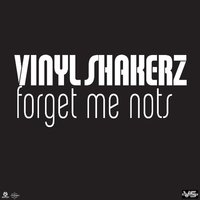 Got No Reason - Vinylshakerz
