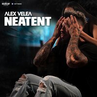 Neatent - Alex Velea