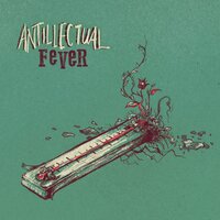Fever - Antillectual