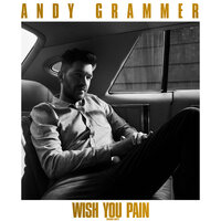 Wish You Pain - Andy Grammer