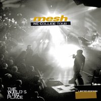 Leave You Nothing - Mesh