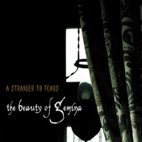 Shadow Dancer - The Beauty of Gemina